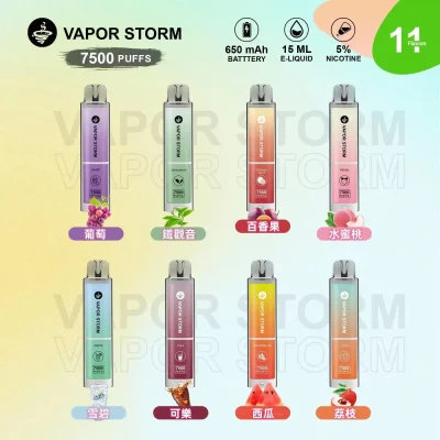 VAPOR STORM 7500口