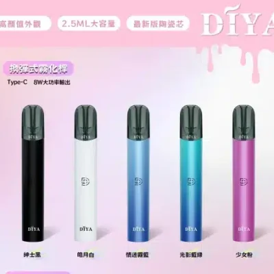 叮啞主機