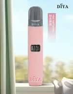 DIYA皮革主機